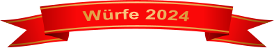 Würfe 2024